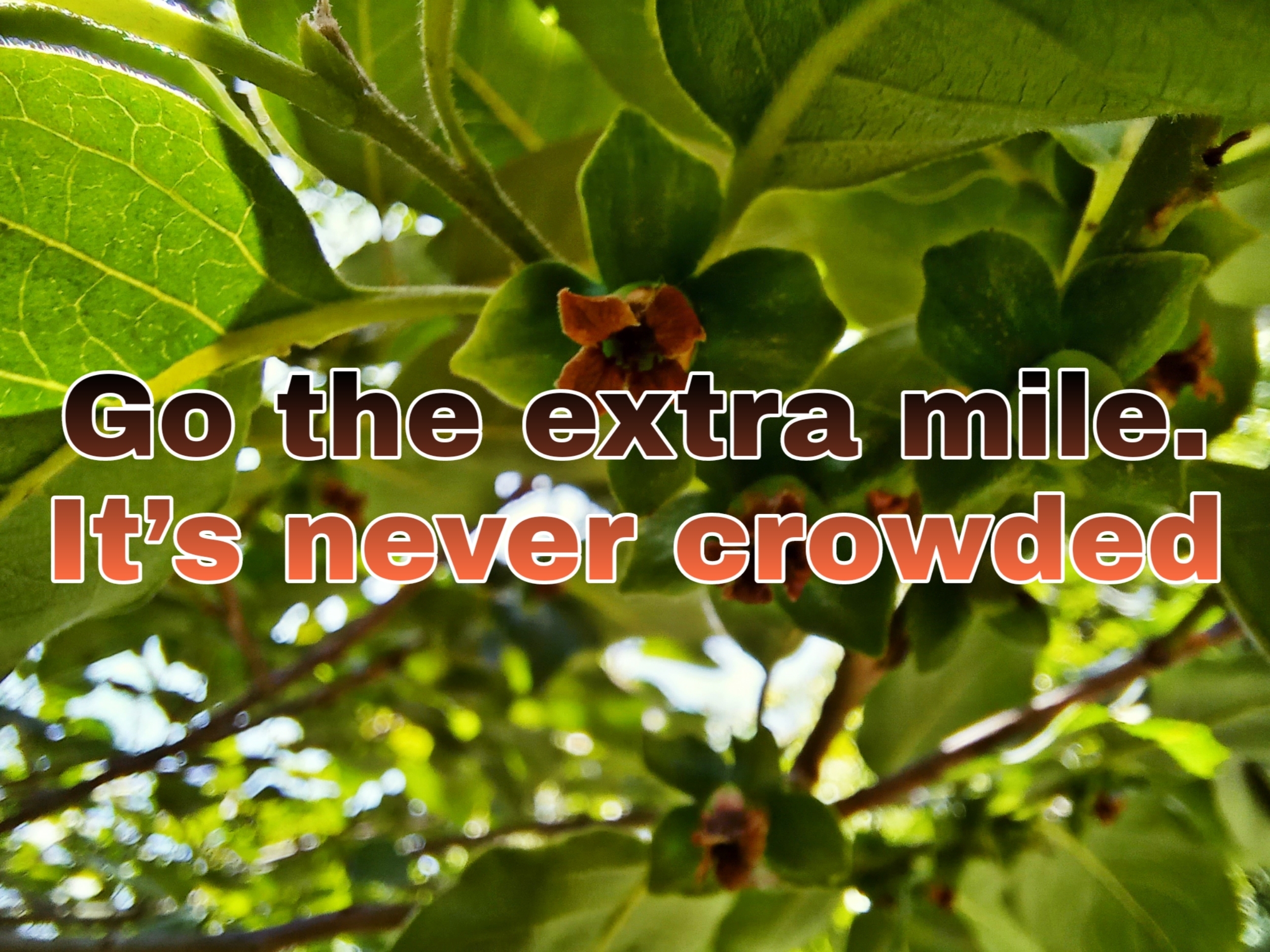 The extra mile: why the leads you gave up on are still deciding