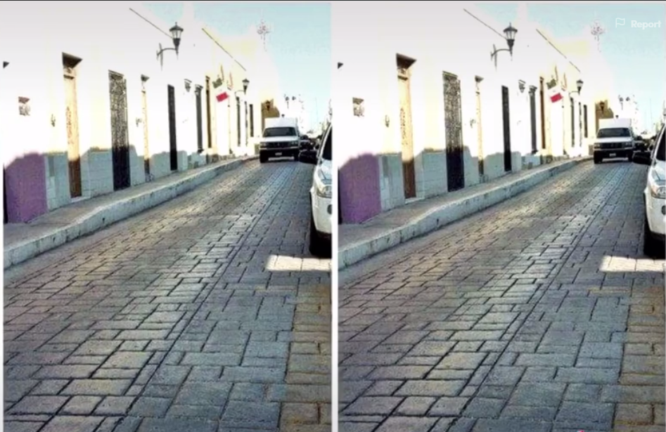 Two identical images placed side by side that the brain perceives as different